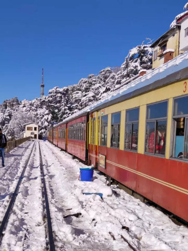 Toy Trains of India